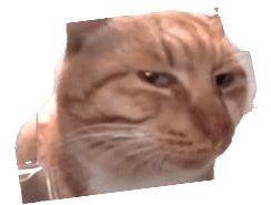 A well known meme of a cat suspiciously side-eyeing the camera